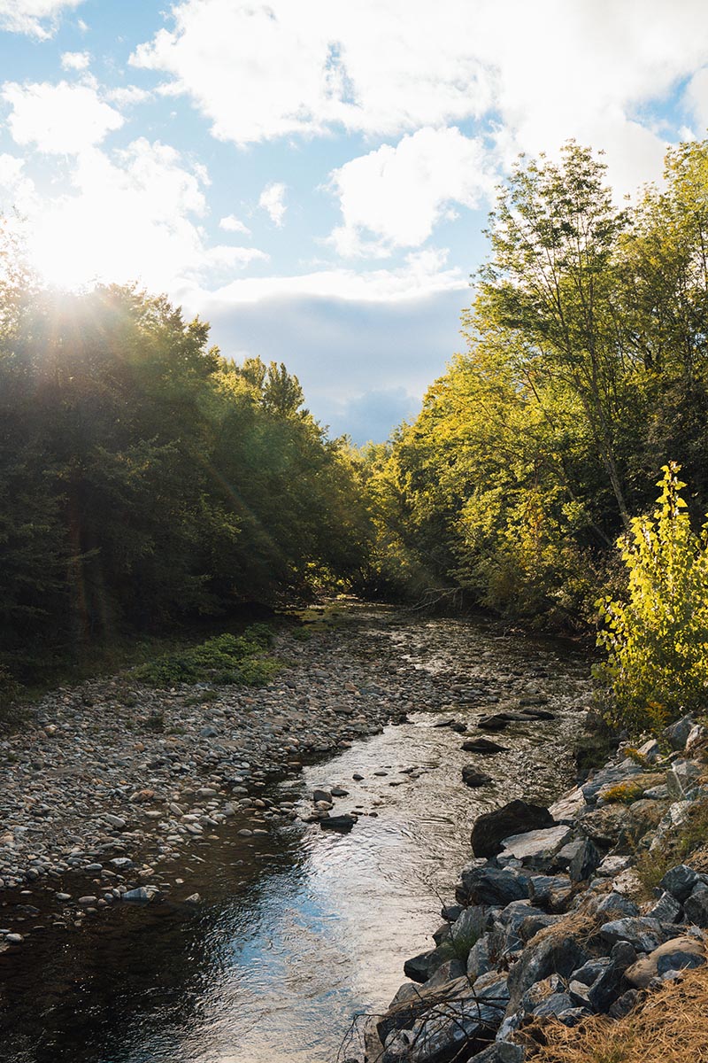 Girl smells sunflower in nature